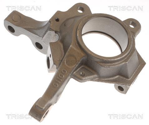 Muñón del eje, suspensión de rueda Triscan A/S ref. 8500 25702