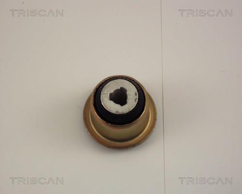 Triangle de suspension Triscan A/S ref. 8500 25806