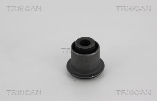 Silentblock de Suspensión Triscan A/S ref. 8500 25823