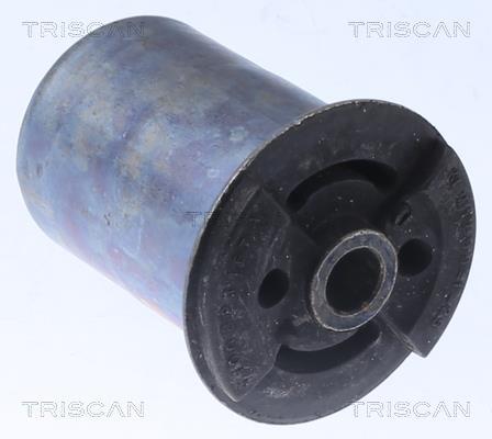 Silentblock del puente trasero Triscan A/S ref. 8500 25875
