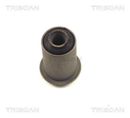 Suspensão, braço oscilante Triscan A/S ref. 8500 27817