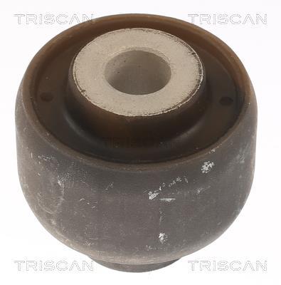 Suspensão, braço oscilante Triscan A/S ref. 8500 27843