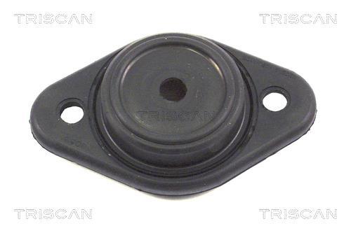 Suporte suspensão Triscan A/S ref. 8500 27905