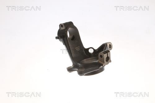 Muñón del eje, suspensión de rueda Triscan A/S ref. 8500 28701