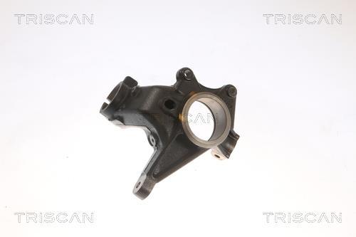 Muñón del eje, suspensión de rueda Triscan A/S ref. 8500 28701