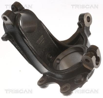 Fusée d'essieu, suspension de roue Triscan A/S ref. 8500 28704