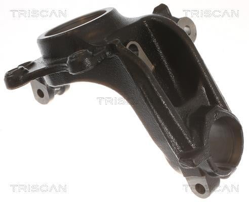 Fusée d'essieu, suspension de roue Triscan A/S ref. 8500 28704
