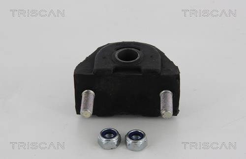 Suspensão, braço oscilante Triscan A/S ref. 8500 28806