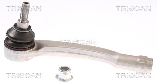 Rótula barra de dirección Triscan A/S ref. 8500 29174
