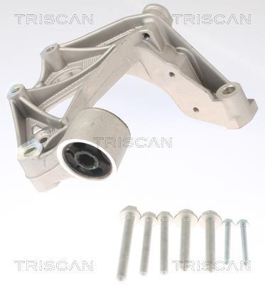 Suporte de rolamento, corpo do eixo Triscan A/S ref. 8500 295262