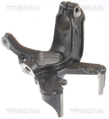 Muñón del eje, suspensión de rueda Triscan A/S ref. 8500 29701