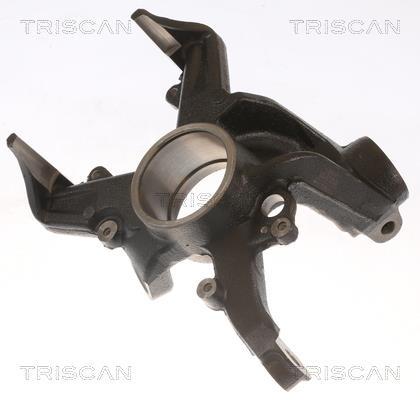 Fusée d'essieu, suspension de roue Triscan A/S ref. 8500 29703