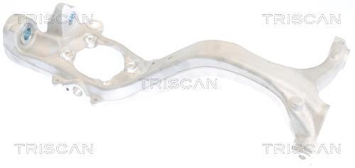 Muñón del eje, suspensión de rueda Triscan A/S ref. 8500 29705