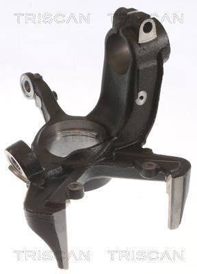 Muñón del eje, suspensión de rueda Triscan A/S ref. 8500 29707