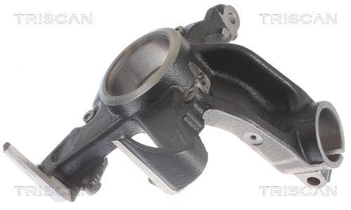 Muñón del eje, suspensión de rueda Triscan A/S ref. 8500 29708