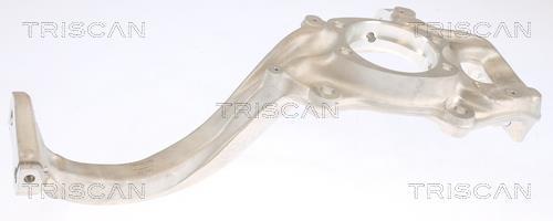 Muñón del eje, suspensión de rueda Triscan A/S ref. 8500 29710