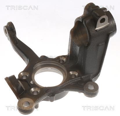 Muñón del eje, suspensión de rueda Triscan A/S ref. 8500 29711