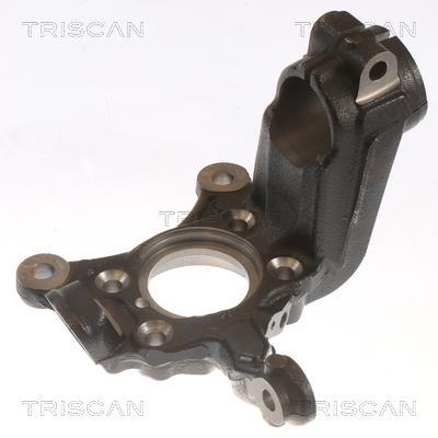 Fusée d'essieu, suspension de roue Triscan A/S ref. 8500 29712