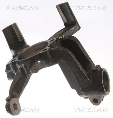 Muñón del eje, suspensión de rueda Triscan A/S ref. 8500 29713