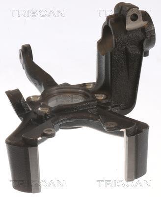 Muñón del eje, suspensión de rueda Triscan A/S ref. 8500 29713