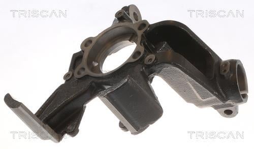 Muñón del eje, suspensión de rueda Triscan A/S ref. 8500 29714