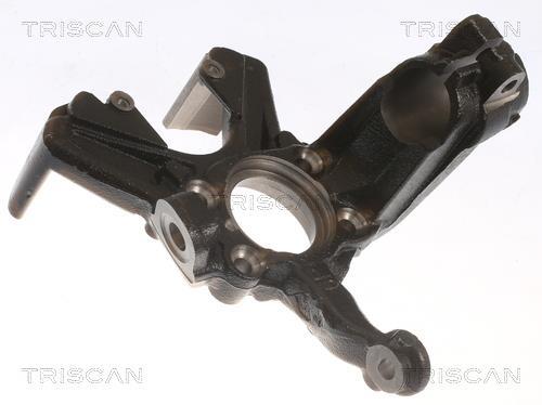 Muñón del eje, suspensión de rueda Triscan A/S ref. 8500 29714