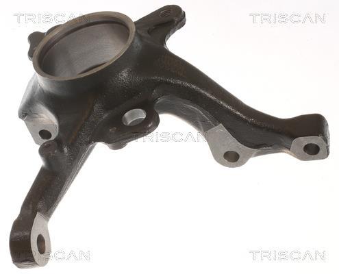 Fusée d'essieu, suspension de roue Triscan A/S ref. 8500 29717