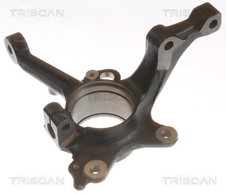 Fusée d'essieu, suspension de roue Triscan A/S ref. 8500 29717