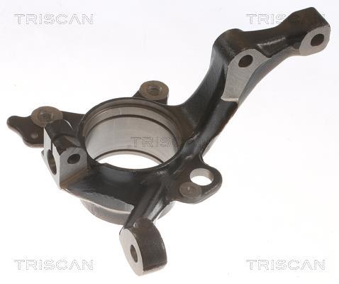 Muñón del eje, suspensión de rueda Triscan A/S ref. 8500 29718