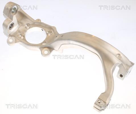 Muñón del eje, suspensión de rueda Triscan A/S ref. 8500 29720