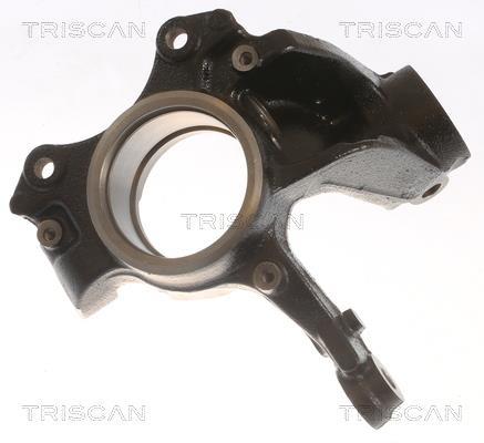 Muñón del eje, suspensión de rueda Triscan A/S ref. 8500 29721