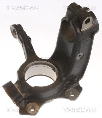 Muñón del eje, suspensión de rueda Triscan A/S ref. 8500 29721
