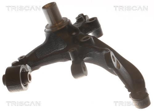 Muñón del eje, suspensión de rueda Triscan A/S ref. 8500 29724