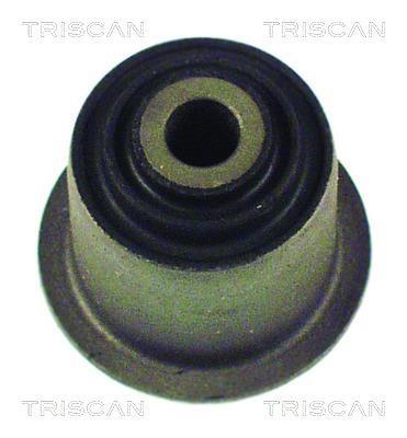 Silentblock de Suspensión Triscan A/S ref. 8500 29806