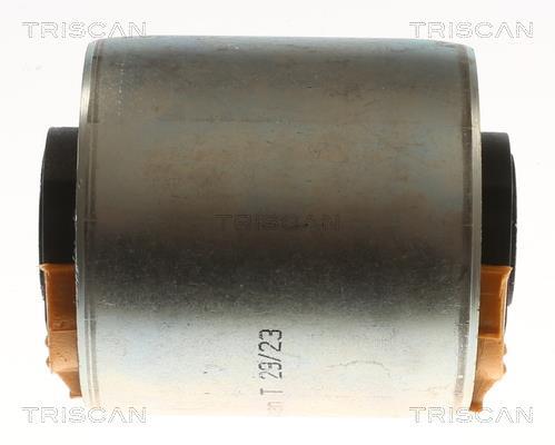 Suspensão, braço oscilante Triscan A/S ref. 8500 29846