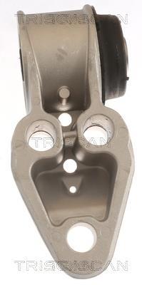 Silentblock del puente trasero Triscan A/S ref. 8500 29863
