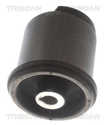 Silentblock del puente trasero Triscan A/S ref. 8500 29874
