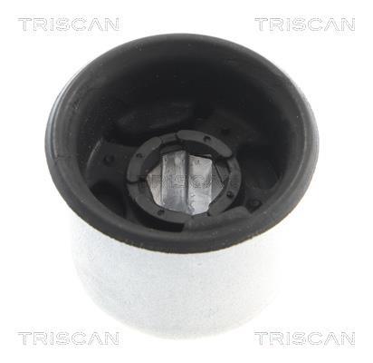 Suspensão, braço oscilante Triscan A/S ref. 8500 29887
