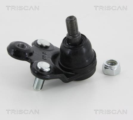 Rotule de suspension (Rotule de pivot) Triscan A/S 8500 40539
