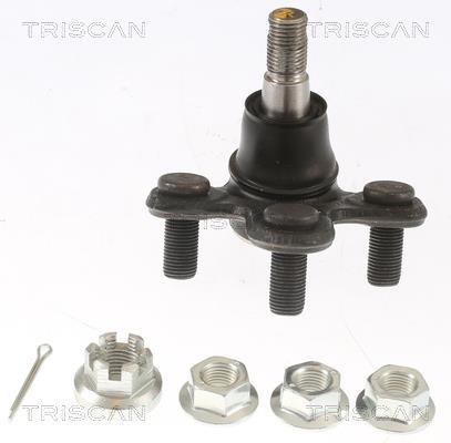 Rotule de suspension (Rotule de pivot) Triscan A/S ref. 8500 40591