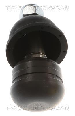 Rótula de suspensión/carga Triscan A/S 8500 42512