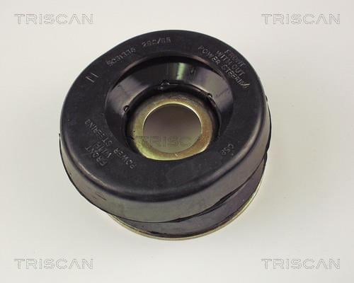 Suporte suspensão Triscan A/S ref. 8500 42901