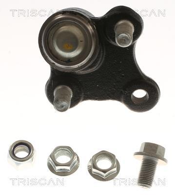 Rotule de suspension (Rotule de pivot) Triscan A/S 8500 435087