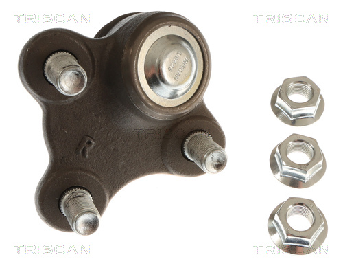 Rotule de suspension (Rotule de pivot) Triscan A/S 8500 435101