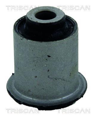 Silent bloc de suspension Triscan A/S ref. 8500 43804