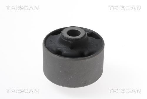 Silentblock de Suspensión Triscan A/S ref. 8500 43809