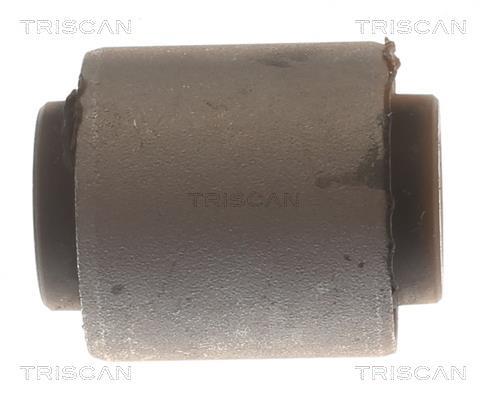 Suspensão, braço oscilante Triscan A/S ref. 8500 43869