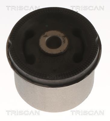 Bucha de eixo Triscan A/S 8500 43872