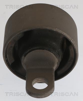 Suspensão, braço oscilante Triscan A/S ref. 8500 43873