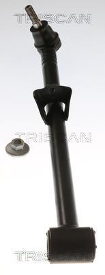 Triangle de suspension Triscan A/S 8500 50592